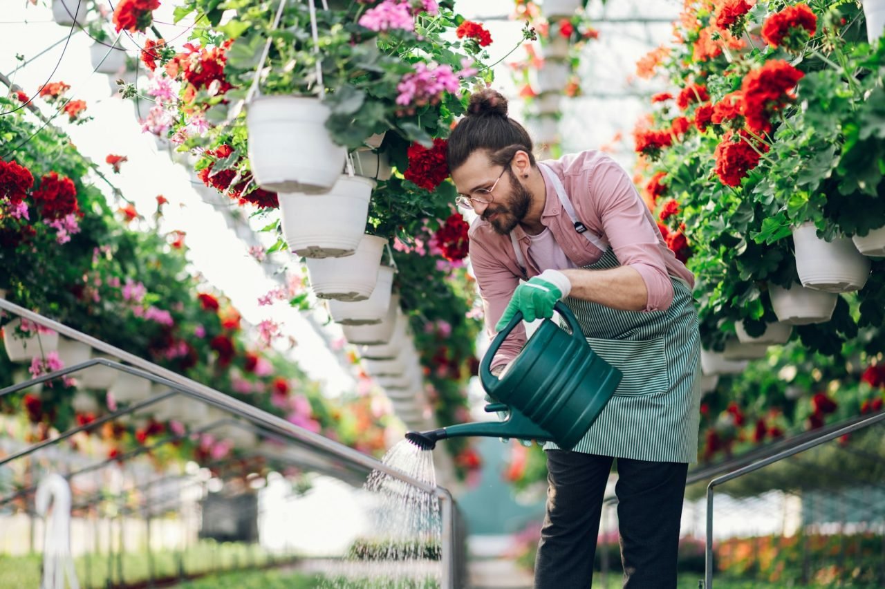 florist-man-watering-flowers-at-a-plant-nursery-greenhouse-.jpg